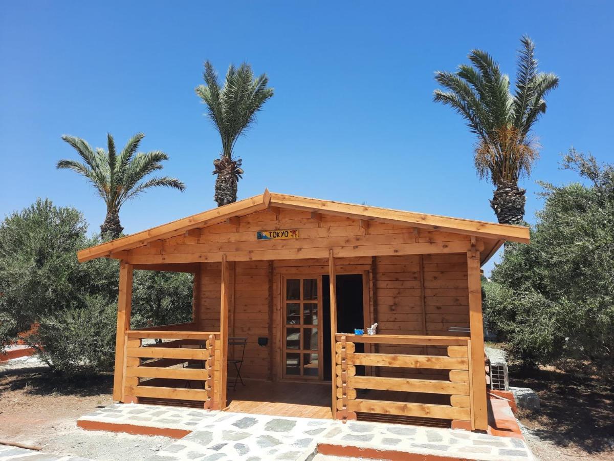 Отель Cyprus Glamping Park Agios Theodoros Экстерьер фото