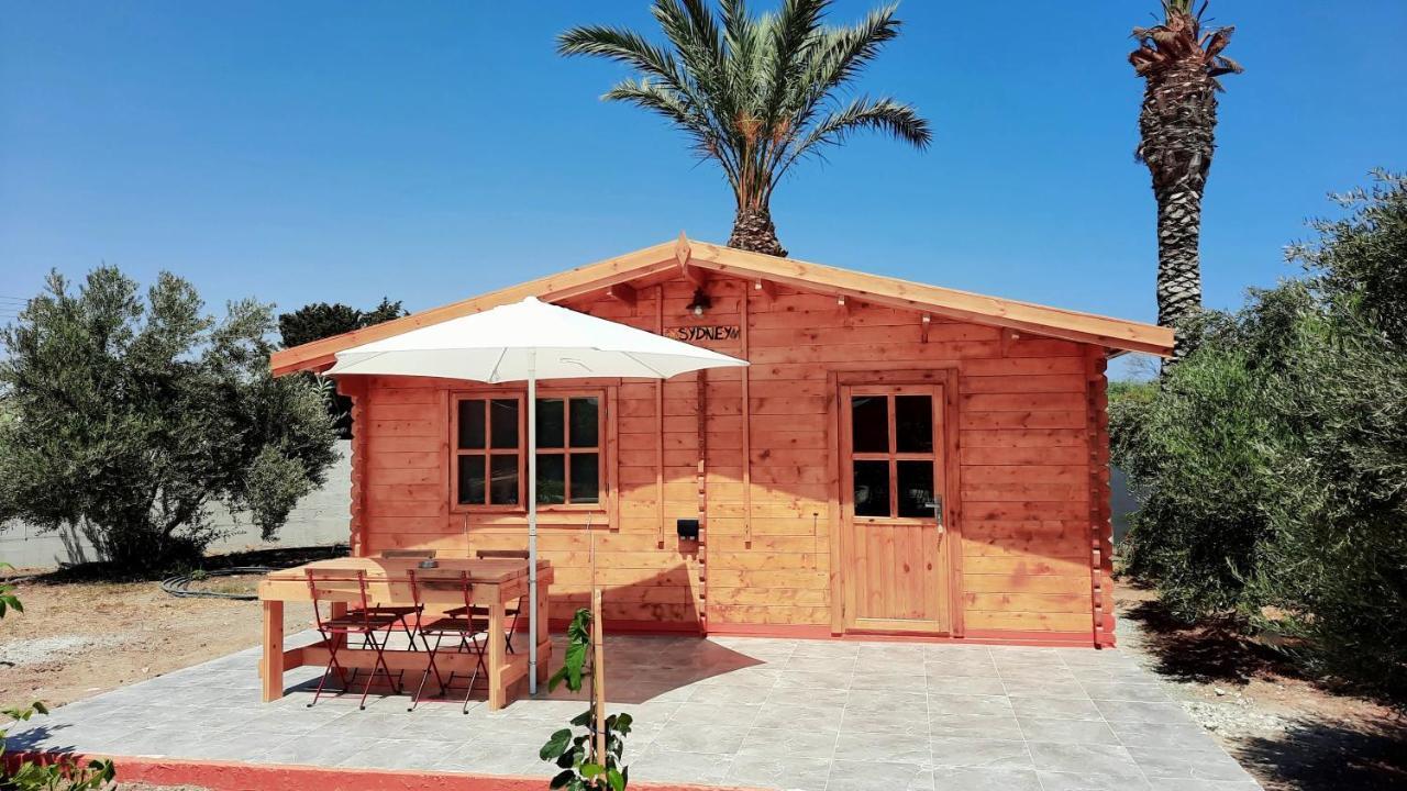 Отель Cyprus Glamping Park Agios Theodoros Экстерьер фото